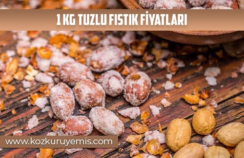 1 kg Tuzlu Fıstık Fiyatları