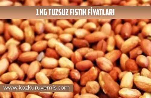 1 Kg Tuzsuz Fıstık Fiyatları
