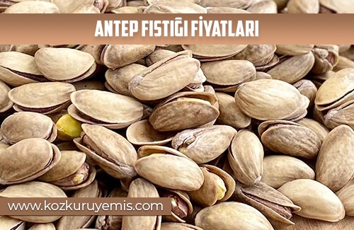 Antep Fıstığı Fiyatları