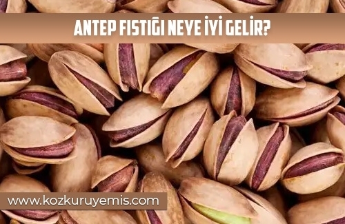 Antep Fıstığı Neye İyi Gelir