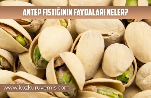 Antep Fıstığının Faydaları Neler