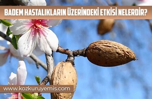 Badem Hastalıkların Üzerindeki Etkisi Nelerdir