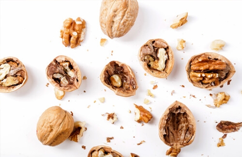 Başakşehir Ceviz Siparişi