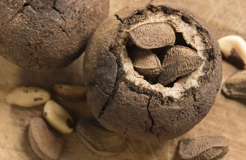 Brezilya Bademi Siparişi