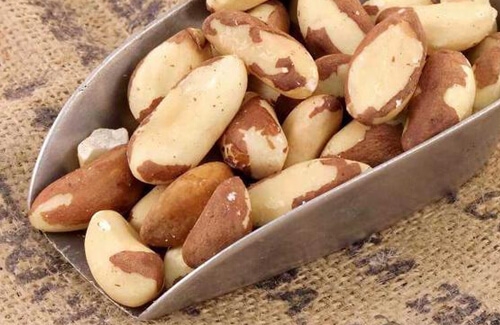 Brezilya Fındığı Yararları