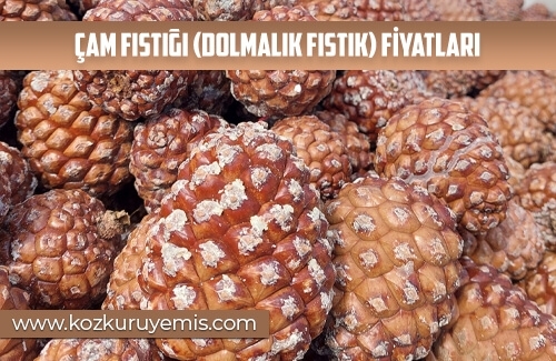 Çam Fıstığı (Dolmalık Fıstık) Fiyatları