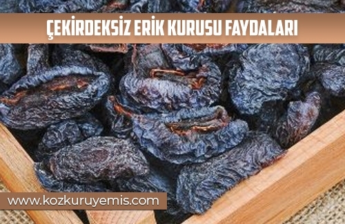 Çekirdeksiz Erik Kurusu Faydaları