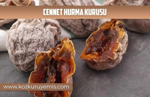 Cennet Hurma Kurusu