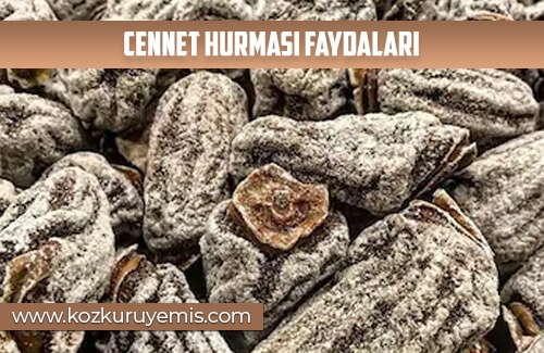 Cennet Hurması Faydaları
