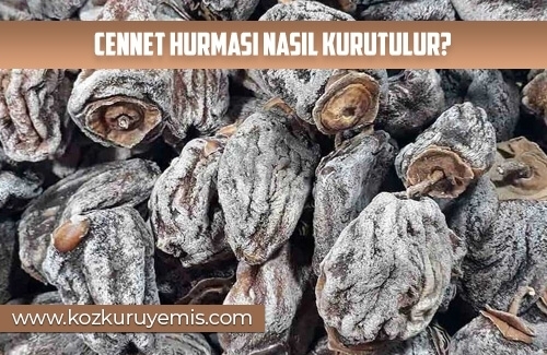 Cennet Hurması Nasıl Kurutulur
