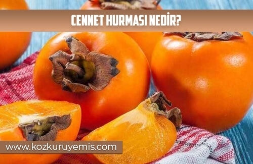 Cennet Hurması Nedir