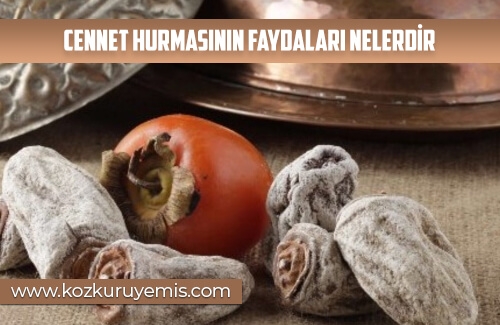 Cennet Hurmasının Faydaları Nelerdir