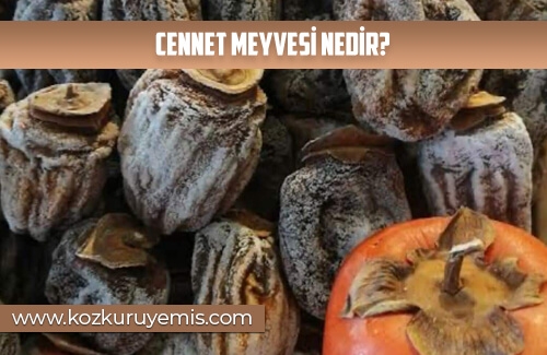 Cennet Meyvesi Nedir