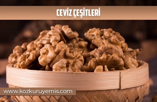 Ceviz Çeşitleri