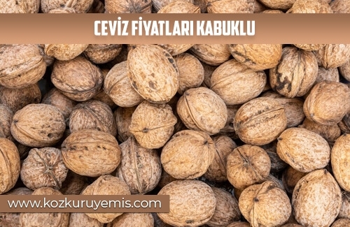 Ceviz Fiyatları Kabuklu
