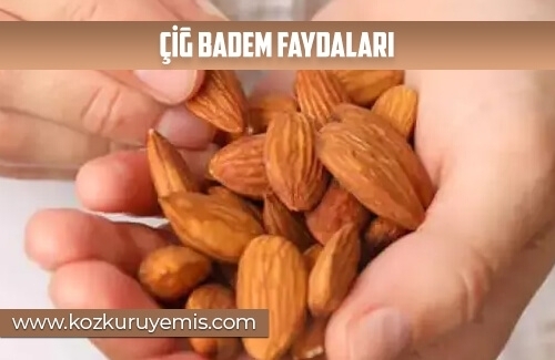 Çiğ Badem Faydaları