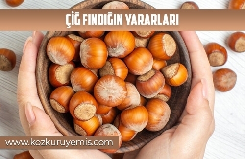 Çiğ Fındığın Bazı Yararları