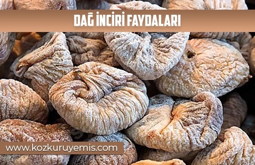 Dağ İnciri Faydaları