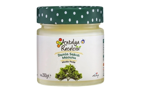 Damla Sakızı Macunu 290g