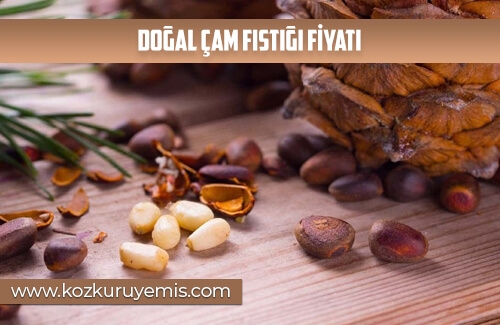 Doğal Çam Fıstığı Fiyatı
