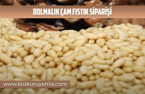 Dolmalık Çam Fıstık Siparişi