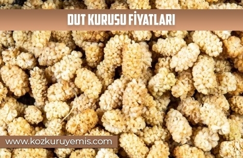 Dut Kurusu Fiyatları