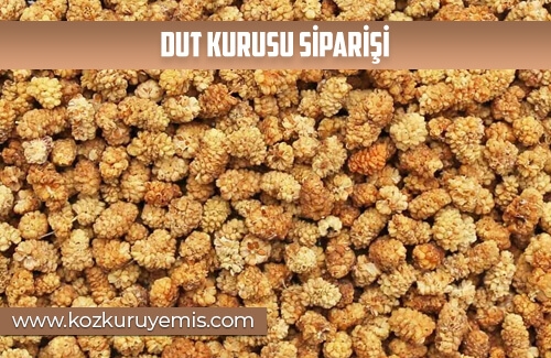 Dut Kurusu Siparişi