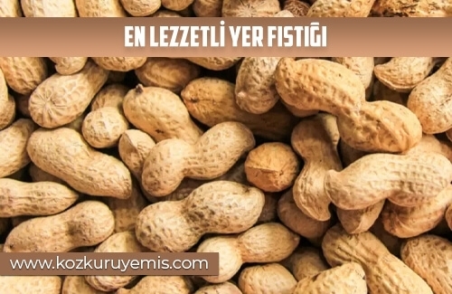En Lezzetli Yer Fıstığı
