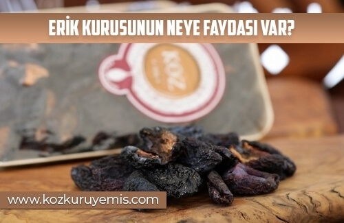 Erik Kurusunun Neye Faydası Vardır