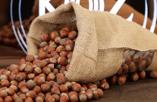 Fındığı Tanıyalım