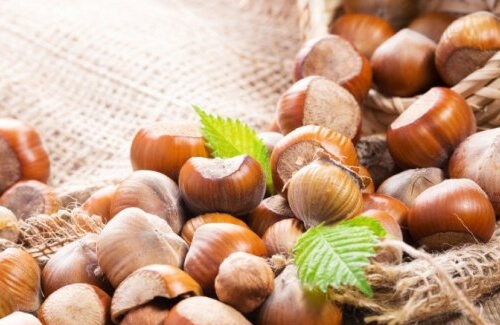 Fındığın İnsan Sağlığına Yararları