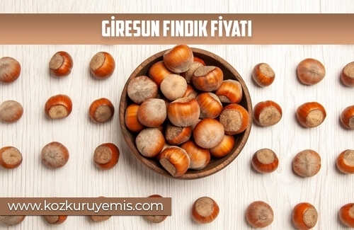 Giresun Fındık Fiyatı