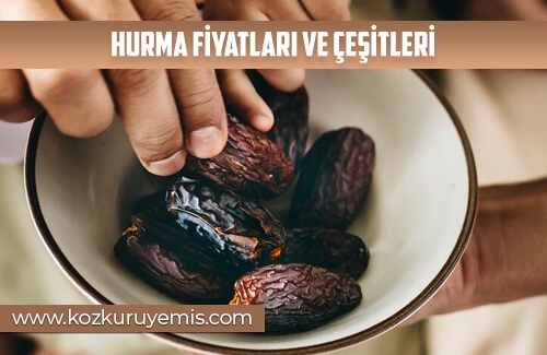Hurma Fiyatları ve Çeşitleri