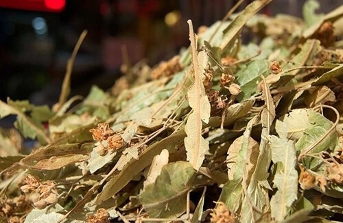 Ihlamur Çayının Yararları