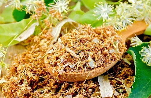 Ihlamur´un Faydaları