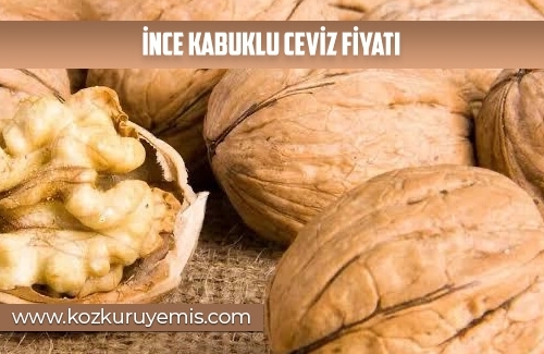 İnce Kabuklu Ceviz Fiyatı