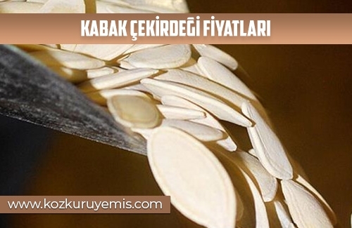 Kabak Çekirdeği Fiyatları