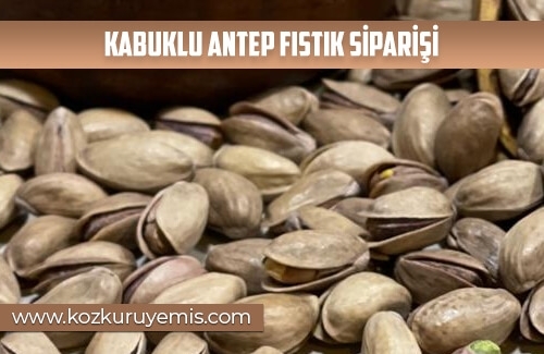 Kabuklu Antep Fıstık Siparişi
