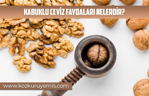 Kabuklu Ceviz Faydaları Nelerdir