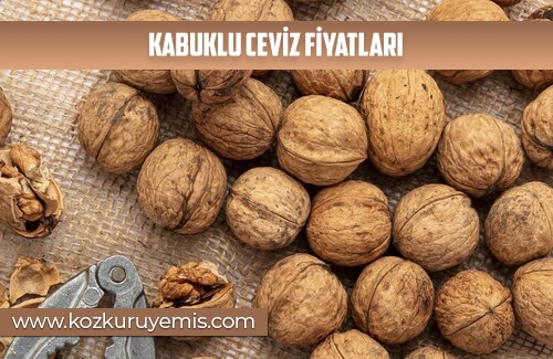Kabuklu Ceviz Fiyatları