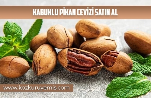 Kabuklu Pikan Cevizi Satın Al