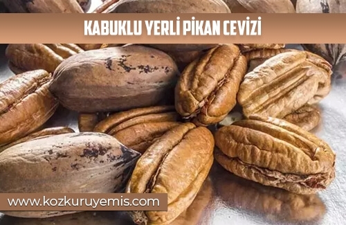 Kabuklu Yerli Pikan Cevizi