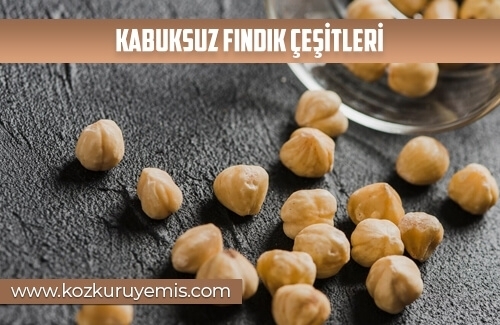 Kabuksuz Fındık Çeşitleri