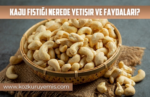 Kaju Fıstığı Nerede Yetişir ve Faydaları Nelerdir?