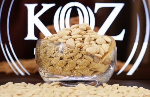 Kaliforniya Bademi Hakkında Bilgiler