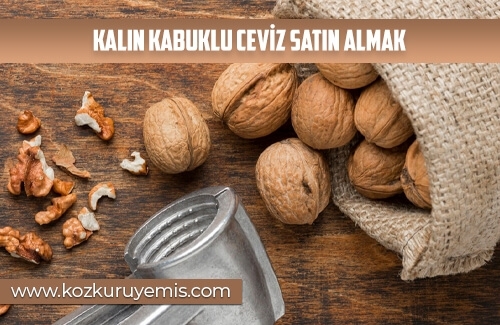 Kalın Kabuklu Ceviz Satın Almak