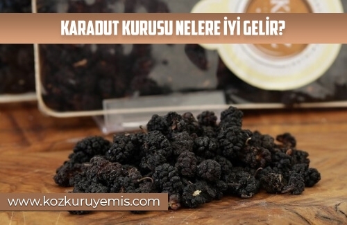 Karadut Kurusu nelere iyi gelir