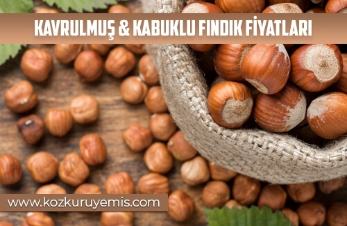 Kavrulmuş & Kabuklu Fındık Fiyatları