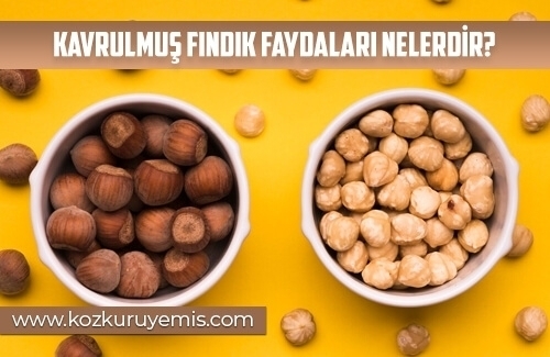 Kavrulmuş Fındık Faydaları Nelerdir