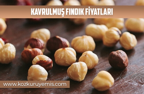 Kavrulmuş Fındık Fiyatları